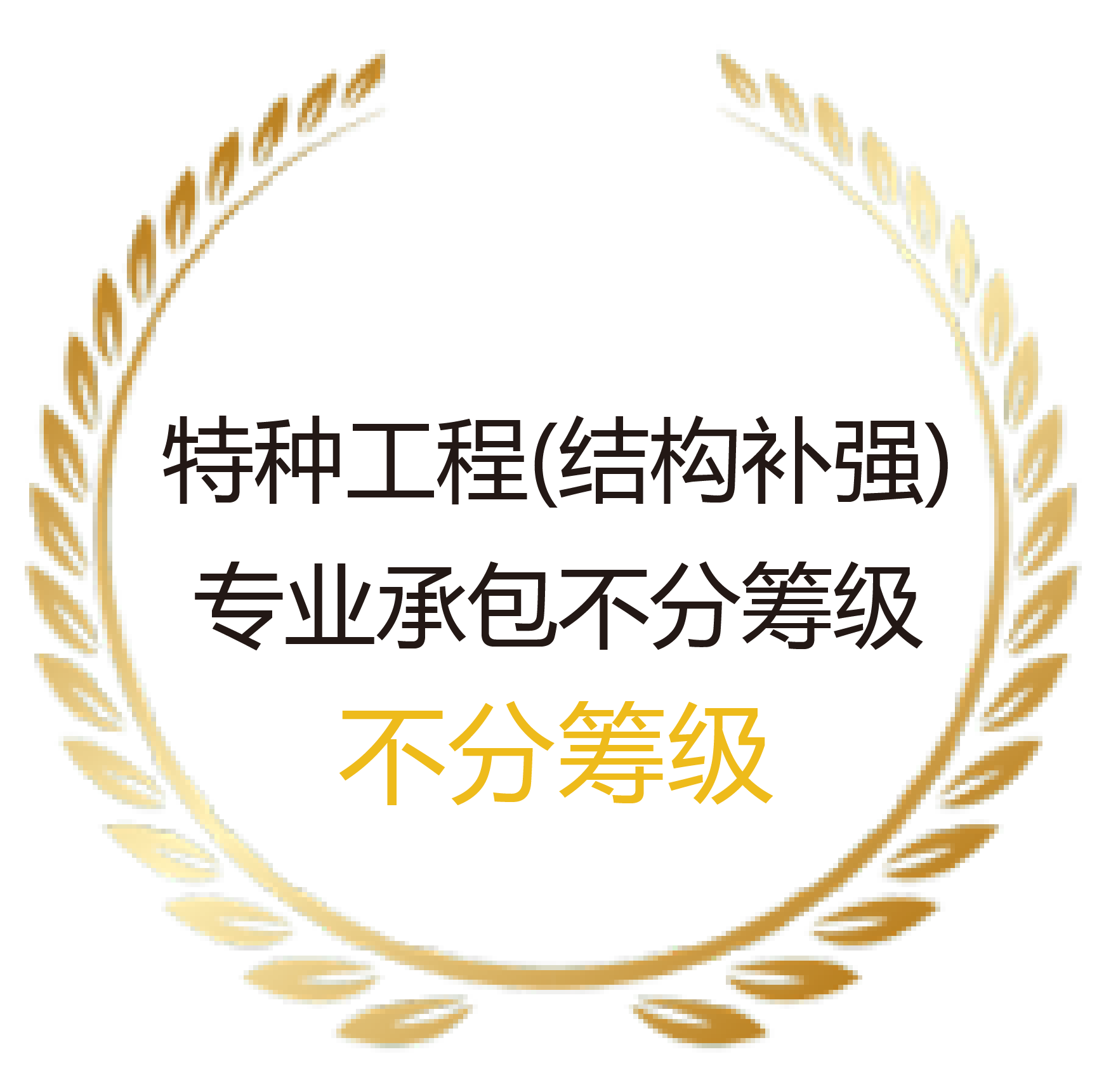 特种工程结构补强专业承包不分等级